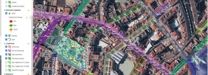 Misturas completa un minucioso inventario del arbolado de Ourense