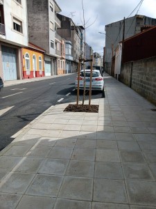 Foto 5 Monforte