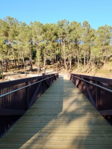 Pasarela embalse Cachamuíña-Pereiro de Aguiar ago-25 (8)