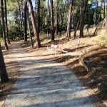 Pasarela embalse Cachamuíña-Pereiro de Aguiar ago-25 (9)
