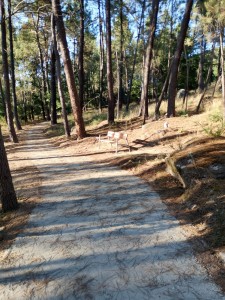 Pasarela embalse Cachamuíña-Pereiro de Aguiar ago-25 (9)