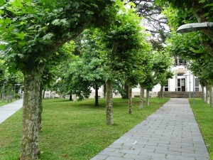 Foto 2 Campus Ourense