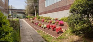 Foto 5 Campus Pontevedra